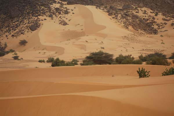 IbiElAbiod_Mauritania02