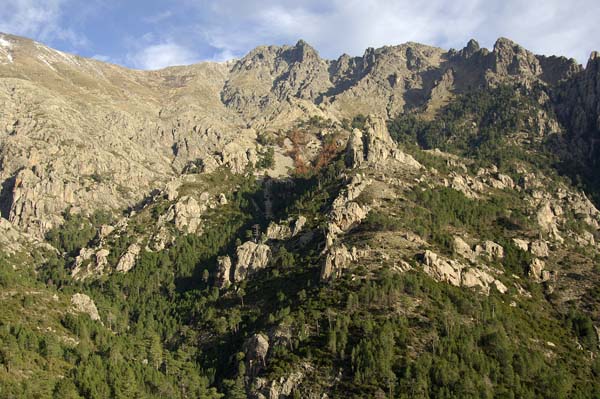 Venasco
